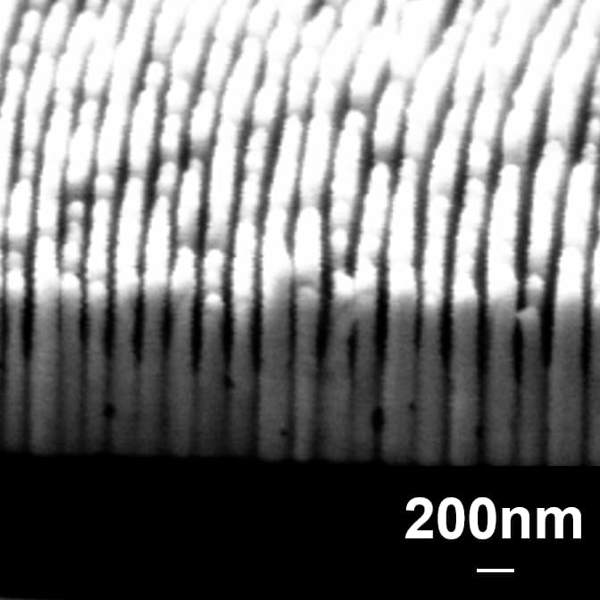 SEM of a 20:1 aspect ratio soft x-ray zone plate